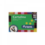 Carpeta con Cartulina Torre 18 Pliegos