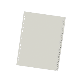Separador Data Zone A-4 31 Posiciones Viní­lico gris