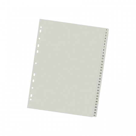 Separador Data Zone A-4 31 Posiciones Viní­lico gris