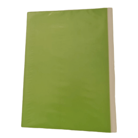 Carpeta Plastificada Verde Claro