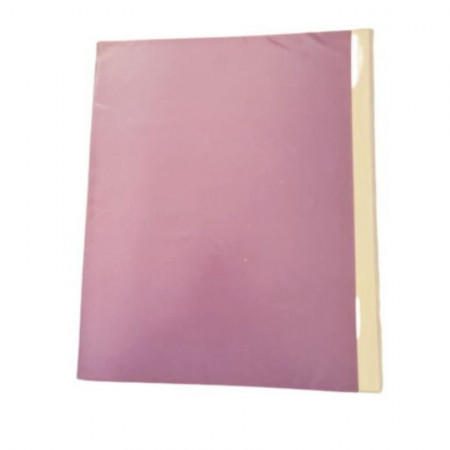 Carpeta Plastificada Rosado