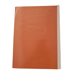 Carpeta Plastificada Naranja