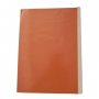 Carpeta Plastificada Naranja