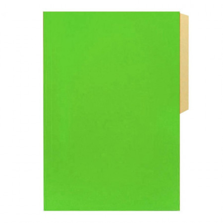 Carpeta Cartulina Halley Pigmentada Verde Claro