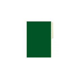 Carpeta Cartulina Buho Pigmentada Verde Oscuro